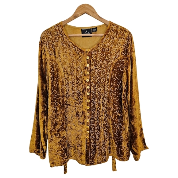 Anthony Mark Hankins Crushed Velvet Shirt Sz Small Amber Embroidered Fall Boho - Picture 1 of 16